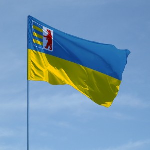flag-zakarpatskoy-oblasti_b