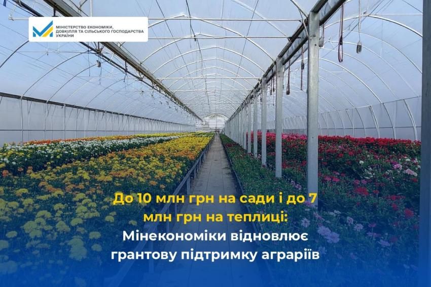 Надання грантів для створення або розвитку бізнесу