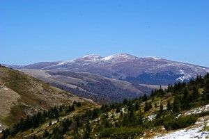 Bluznucja-vyd-iz-Svudovecjkoho-hrebta-300x200.jpg