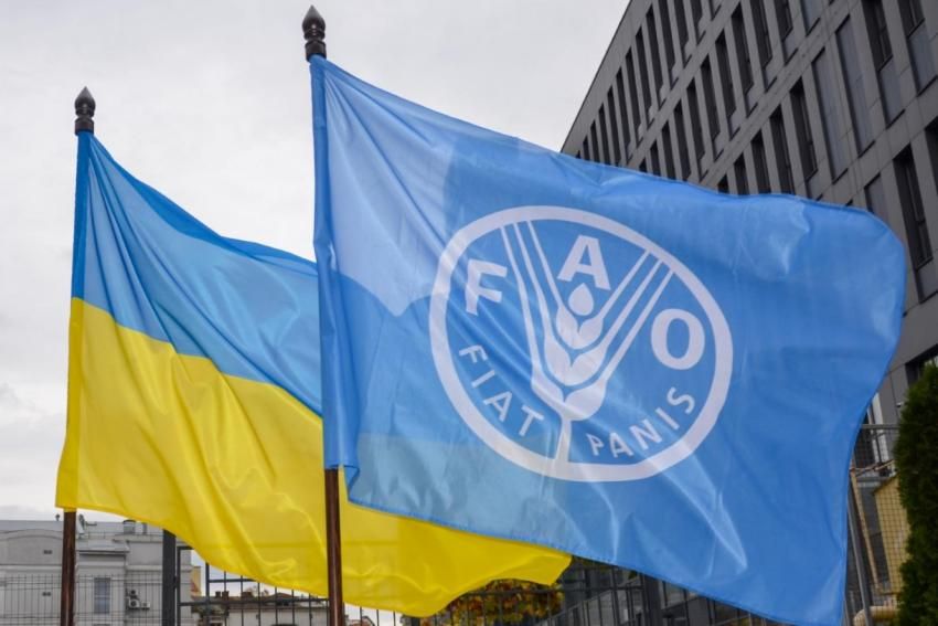 Грантова програма ФАО та ЄС для агрегаторів у секторі овочівництва та ягідництва — 4-й грантовий цикл